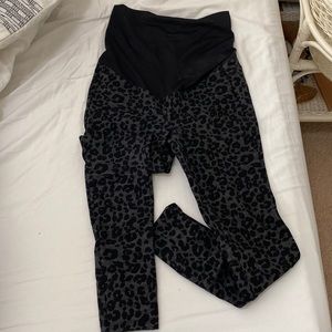Loft maternity pants
